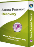 Access Password Recovery