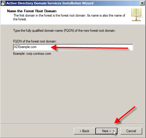 name-forest-root-domain
